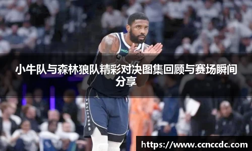 小牛队与森林狼队精彩对决图集回顾与赛场瞬间分享