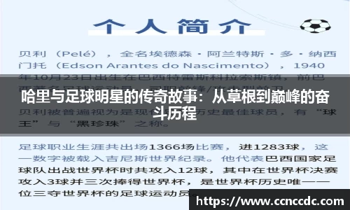 哈里与足球明星的传奇故事：从草根到巅峰的奋斗历程